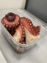 Lade das Bild in den Galerie-Viewer, Tintenfisch
